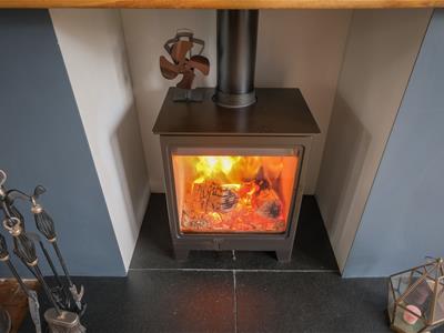Picture 10